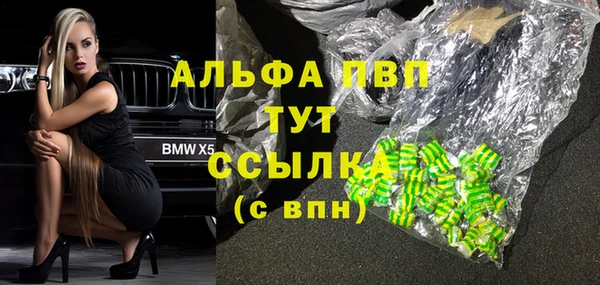 сатива Алзамай