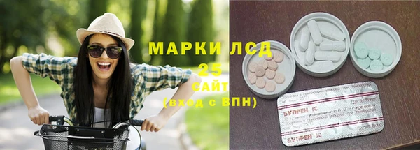 прущие грибы Лиски