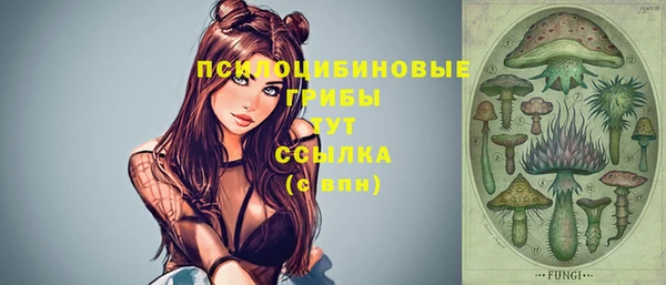 сатива Алзамай
