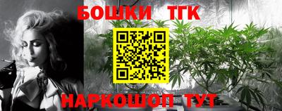 тгк Аргун