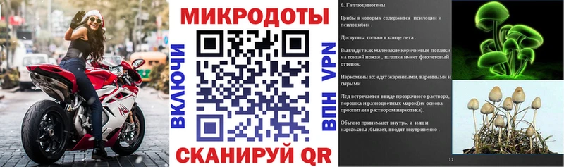 Псилоцибиновые грибы мухоморы  где купить наркоту  Аргун 