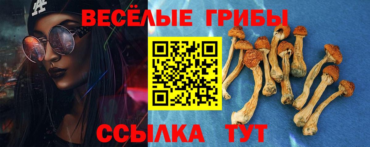 Псилоцибиновые грибы MAGIC MUSHROOMS Аргун
