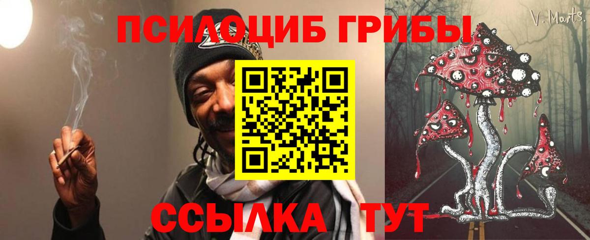 Аргун  Псилоцибиновые грибы Psilocybe  Вход с VPN 
