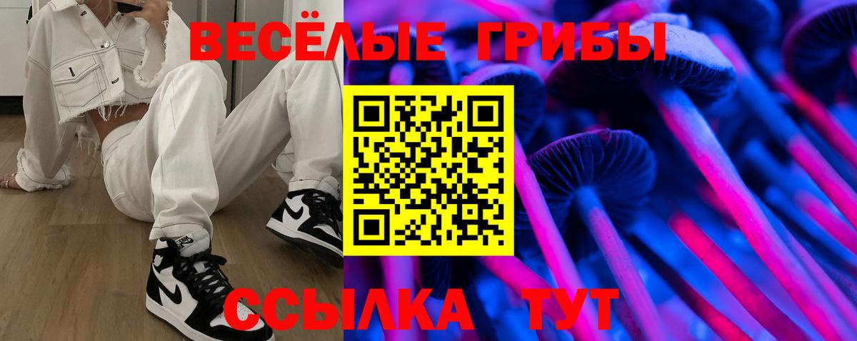 Галлюциногенные грибы мицелий  Аргун  где продают наркотики  Галлюциногенные грибы Cubensis 