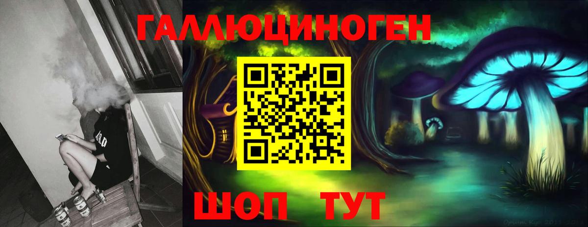 Галлюциногенные грибы Cubensis Аргун